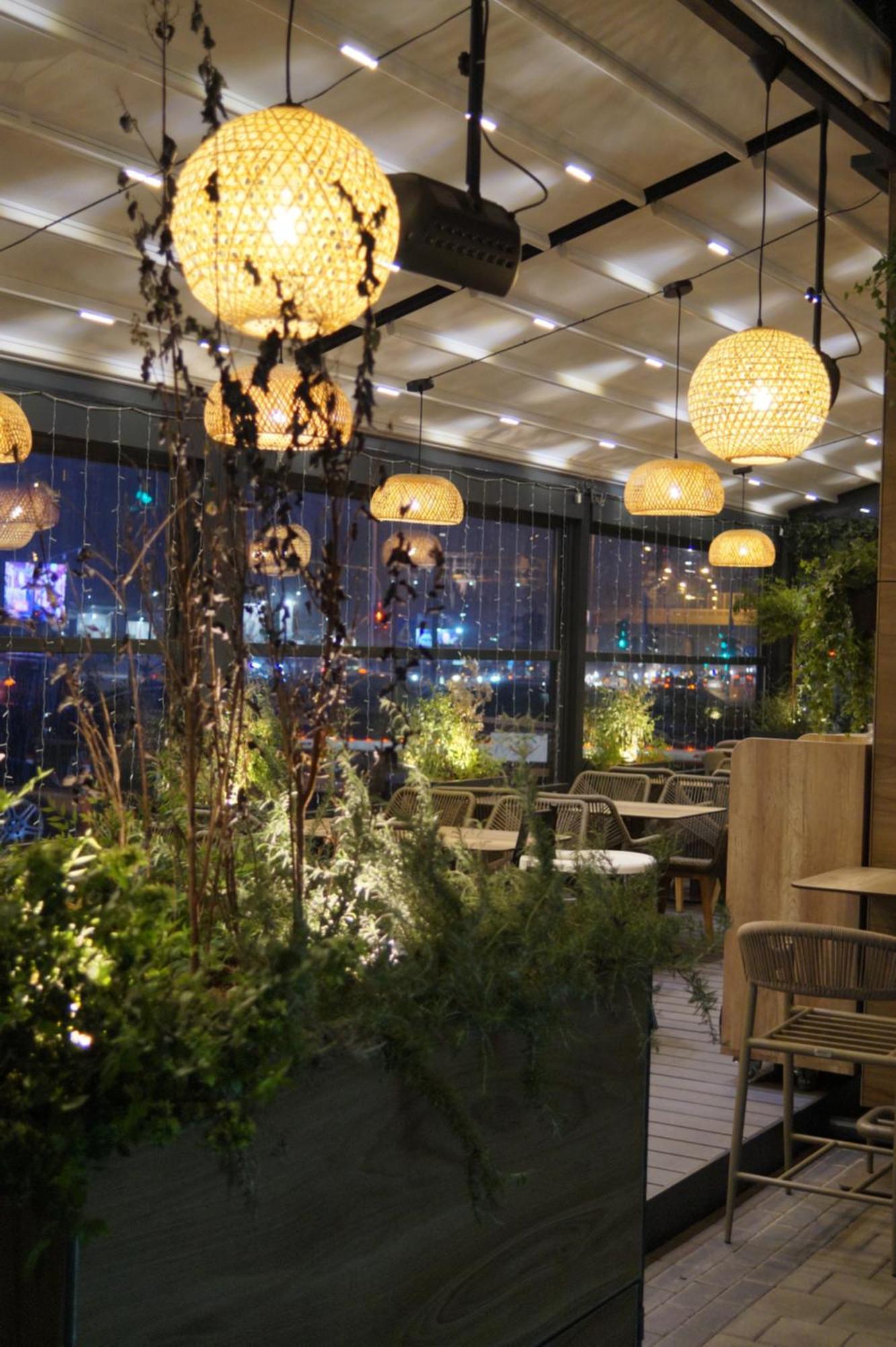 Apartment Garden Oasis *
